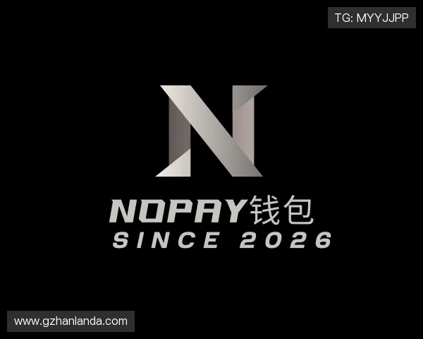 了解NOPAY钱包